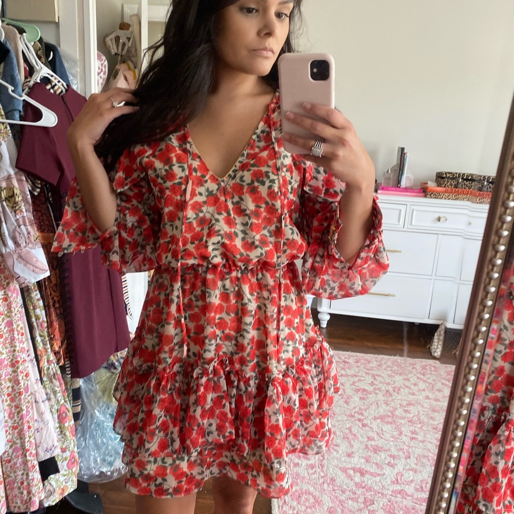 Red Rose Floral Swing Dress - Picture 6 of 9